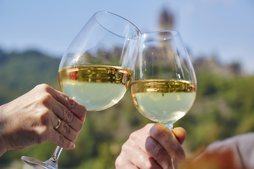 Flair Hotel Am Rosenhuegel - Garni Cochem Bagian luar foto